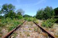 Verlaten spoorlijn; abandonned railroad