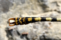 Kleine tanglibel; Small pincertail; Onychogomphus forcipatus