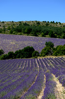 Hautes Provence
