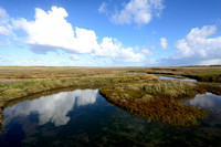 Waddeneilanden